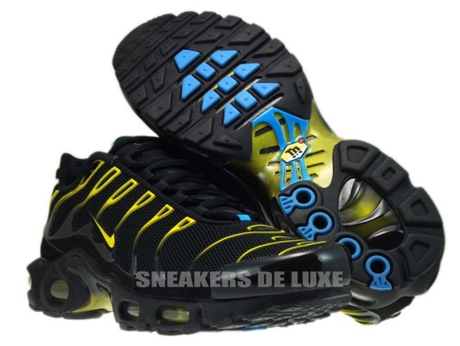 blue and yellow tns
