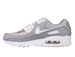 Nike Air Max 90 DJ1494-001 Light Smoke Grey/White