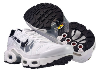 Nike Air Max Plus TN 1 FD0692-100 White/Black-Cool White