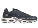 Nike Air Max Plus TN 1 Cool Grey/Anthracite-Dark Grey