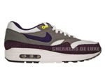 Nike Air Max 1 White/Grand Purple-Metallic Pewter 308866-151